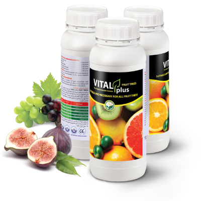 کود مایع VITAL plus Fe-M-Z