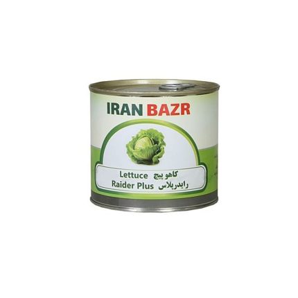 بذر کاهو پیچ رایدر پلاس ایران بذر