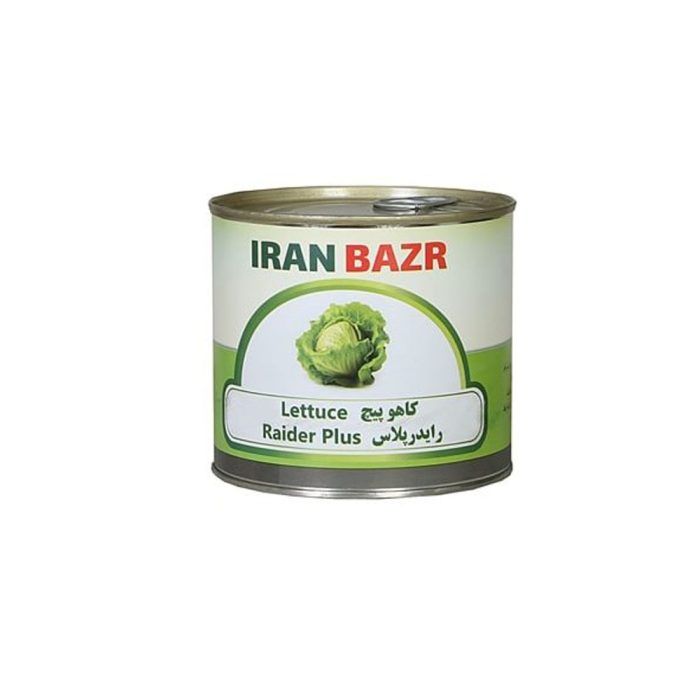 بذر کاهو پیچ رایدر پلاس ایران بذر