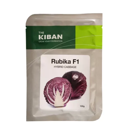 بذر کلم قرمز Rubika