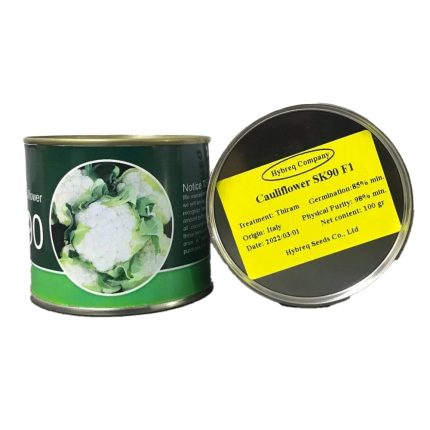 بذر گل کلم Sk90 F1