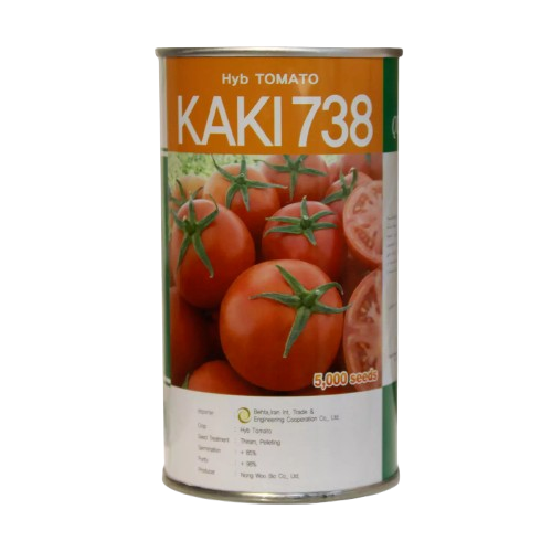kaki-738-tomato-seeds بذر گوجه فرنگی کاکی 738